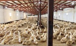 AK Parti Milletvekili Bayırcı: “Bölgede Ekonomik Değer Yaratıyoruz”