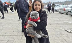 Stadyumda gören dönüp baktı: Kedisiyle maça geldi