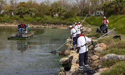 Kütahya’dan doğan kirlilik İzmir’i vurdu "Gediz Körfez'i kirletiyor"