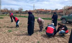 Aslanapa’da çiftçiye eğitim hamlesi: ekipler sahaya indi