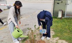 Emet MYO’da doğaya yatırım: Gül fidanı dikimiyle yeşil adım