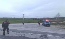 Hisarcık’ta hayvan giriş çıkışları mercek altında