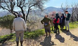 Kütahya Simav’da alarm verildi: zirai don tarımı vurabilir