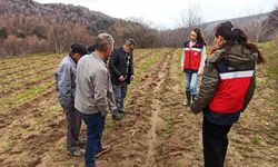 Kütahya’da ahududu bahçelerinde denetim: Yüzde 75 hibe desteği sahada