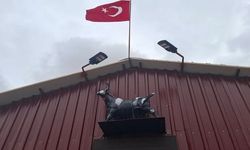 Kütahya’da herkes bunu konuşuyor: Tosunun heykel paniği