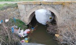 Tavşanlı’da doğa tehdit altında: Bilinçsiz hareketler kirlilik oluşturuyor