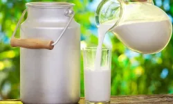 Çiğ süt fiyatı 24,30 TL oldu: 1 Mayıs’tan itibaren geçerli