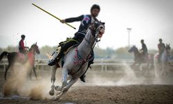Cirit müsabakasında feci kaza: 1 sporcu ağır yaralı, at telef oldu