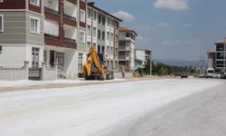 Kütahya'da bir sokak daha kaderine terk edildi: Mahalle çözüm bekliyor