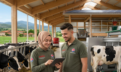 Köye Dönene Çifte Maaş ve Tapu Müjdesi: Başvuru Şartları Belli Oldu!