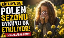 Kütahya'da sabah yorgun uyanıyorsanız nedeni bahar olabilir