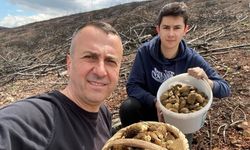 Kütahya'da mantar vatandaşların yüzünü güldürdü: ''Çok bereketli bir gün oldu''