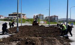 Tavşanlı'da peyzaj çalışmaları devam ediyor