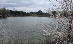 Kütahya'da üniversitedeki en iyi manzara: Görenleri yine büyüledi!