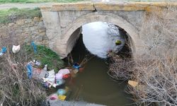 Tavşanlı'nın doğa harikası ovası çöplüğe döndü