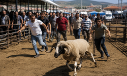 Kütahya’da kurban pazarında klasik görüntüler yine ortaya çıktı!