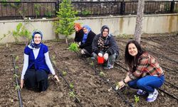 Altıntaş’ta Eğitimciler Bu Kez Bahçede Ter Döktü