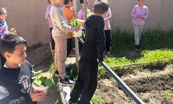 Kütahya Emet’te çocuklardan doğaya anlamlı dokunuş