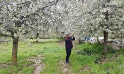 Tarım arazilerinde don incelemesi: Ekipler hasar tespiti gerçekleştirdi