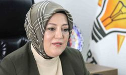 Kütahya'da dev anket: En etkili siyasi sosyal medya hesapları açıklandı
