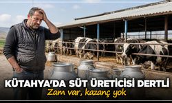 Kütahyalı üreticiye zam yetmedi: Maliyet cep yaktı