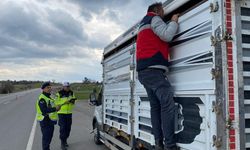 Canlı Hayvan Nakline Jandarma ve Tarım Ekiplerinden Kontrol