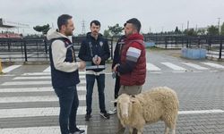 Kütahya'da kurban pazarında dolandırıcılara karşı kritik uyarı