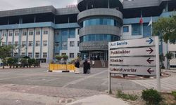Kilo sorunu olanlar dikkat! Uzmandan ezber bozan açıklama: 'Ekmek düşmanınız değil'