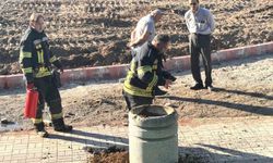 Kütahya’da Piknik Alanında Korku Dolu Anlar!