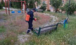 Altıntaş'ta yeşil alan ve parkların bakımı sürüyor