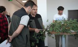 Kütahya Ormanlarında Veri Kalitesi Artacak