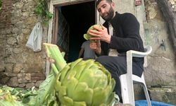 Türkiye bu mesleği konuşuyor: Enginar soyarak ayda 240 bin TL kazanıyor
