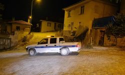 Kütahya'nın ilçesinde kene alarmı: İlaçlama çalışmaları başlatıldı
