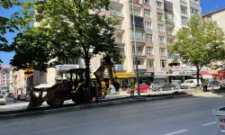 Kütahya’da ağaç kesimine tepkiler büyüdü: Belediyeden açıklama geldi!