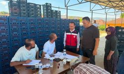 Simav'da kiraz üretimi masaya yatırıldı