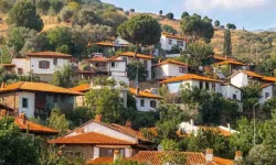 Kütahya'da köylere kesenin ağzı açıldı: Hangi ilçe ne kadar ödenek alacak?