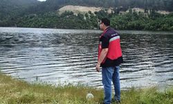 Kütahya'da avcılık faaliyetlerine denetim sürüyor