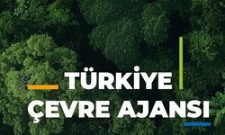 Kütahya'da kullandığı içeceğin ambalajını getirene para ödenecek: Tarih açıklandı