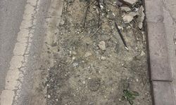 Kütahya'da refüjlerin bakımsızlığı görenlerin yüzünü ekşitiyor