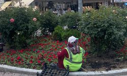 Kütahya Bir Anda Rengârenk Oldu! Görenler Telefonuna Sarıldı