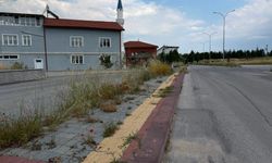 Yoncalı'ya Bakım Tepkisi: Turizm Merkezi Bu Görüntüyü Hak Etmiyor