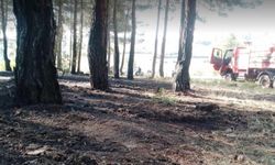 Kütahya’da Alevler Ormana Sıçradı!