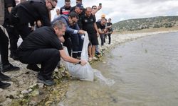Kütahya'da doğaya can suyu: Porsuk Barajı Göleti'ne 107 bin 500 balık yavrusu bırakıldı