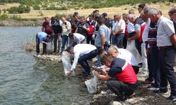 Tavşanlı'nın göletleri balıklarla doldu: 123 bin yavru sazan bırakıldı