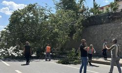 Eskişehir-Kütahya Kara Yolunda Korku Dolu Anlar