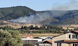Kütahya'da Dumanlar Yükseldi! Yangın büyümeden söndürüldü