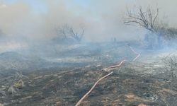 Arazi yangını kısa sürede söndürüldü