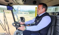 Bilecik'te kanola üretiminde rekolte beklentisi 2 bin 160 ton