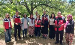 Kütahya'da organik tarım ve iyi tarım projeleri değerlendirildi