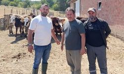 Tavşanlı'da sağlıklı hayvancılık için çalışmalar sürüyor